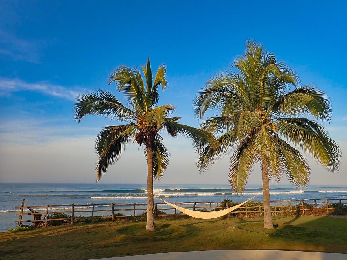 Hammocks between the palms